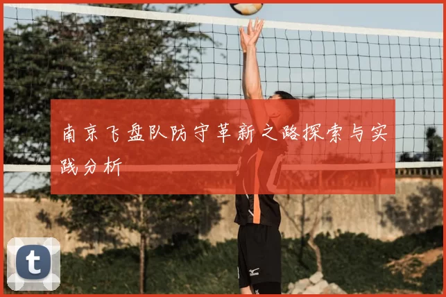 南京飞盘队防守革新之路探索与实践分析