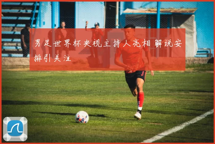 男足世界杯央视主持人亮相 解说安排引关注