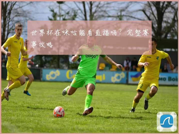 世界杯在咪咕能看直播吗?完整赛事攻略