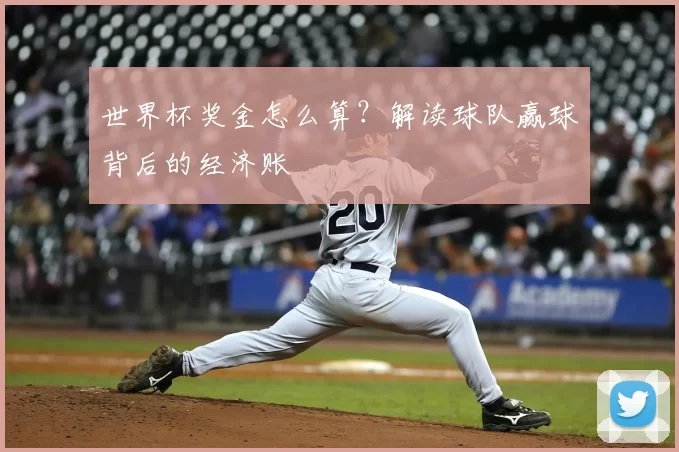 世界杯奖金怎么算?解读球队赢球背后的经济账