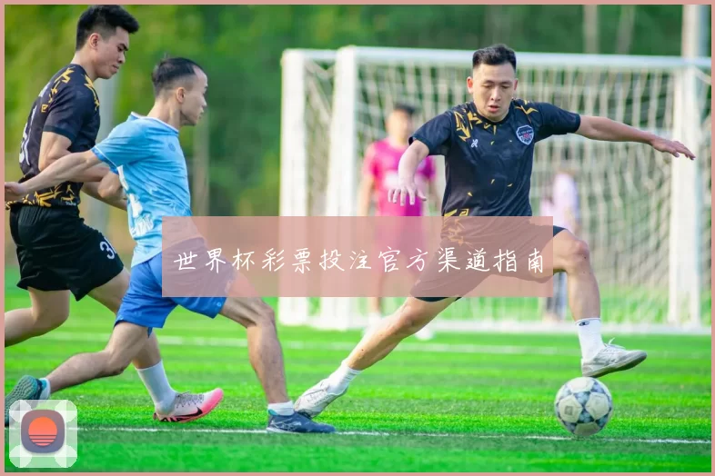 世界杯彩票投注官方渠道指南