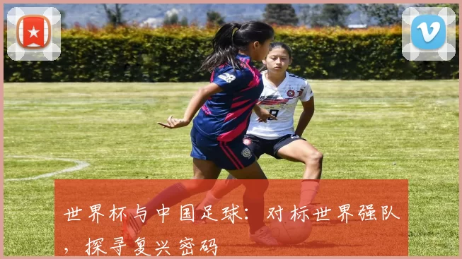 世界杯与中国足球：对标世界强队，探寻复兴密码