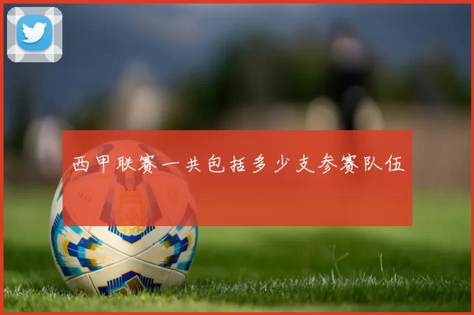 西甲联赛一共包括多少支参赛队伍