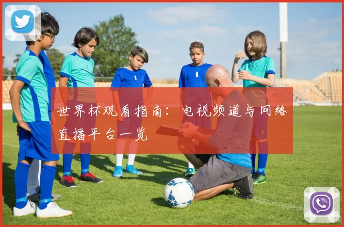 世界杯观看指南:电视频道与网络直播平台一览