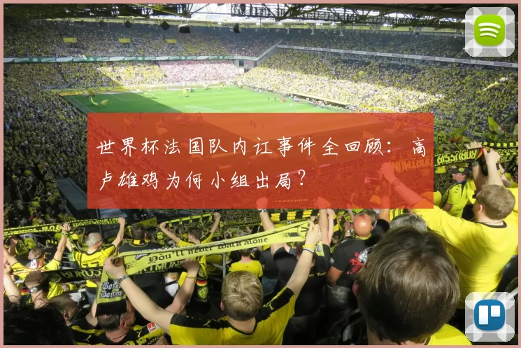 世界杯法国队内讧事件全回顾:高卢雄鸡为何小组出局?