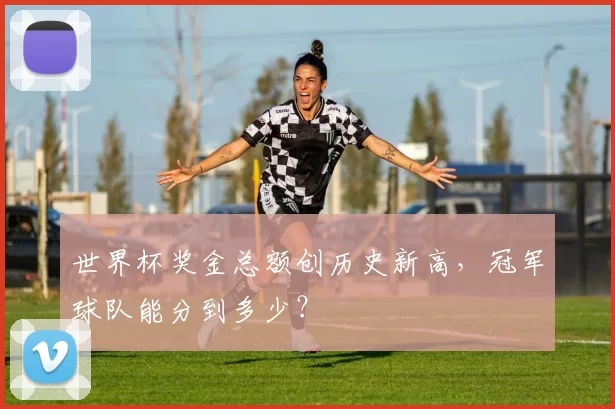 世界杯奖金总额创历史新高,冠军球队能分到多少?