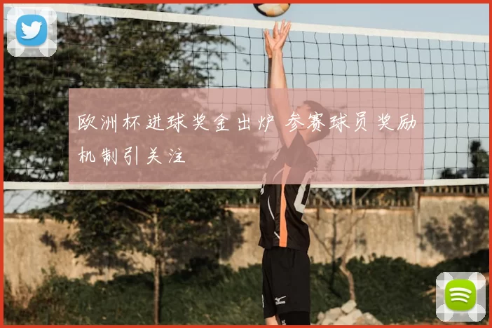 欧洲杯进球奖金出炉 参赛球员奖励机制引关注
