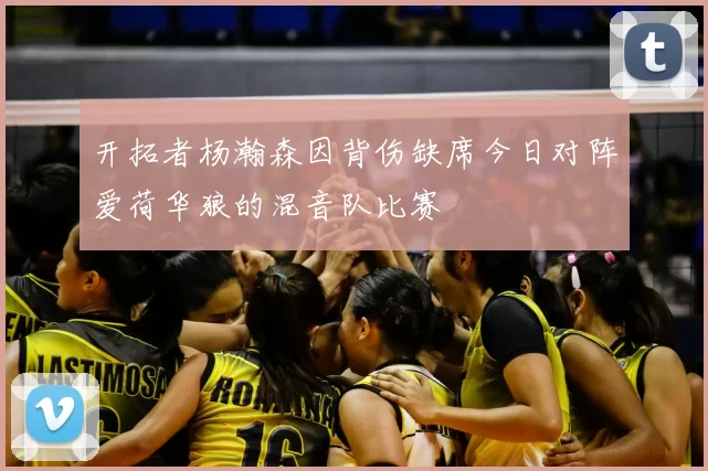 开拓者杨瀚森因背伤缺席今日对阵爱荷华狼的混音队比赛