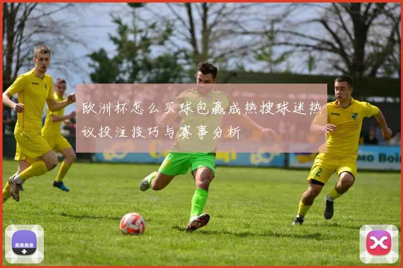 欧洲杯怎么买球包赢成热搜球迷热议投注技巧与赛事分析