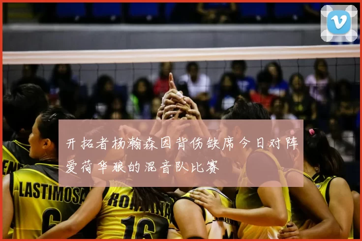 开拓者杨瀚森因背伤缺席今日对阵爱荷华狼的混音队比赛