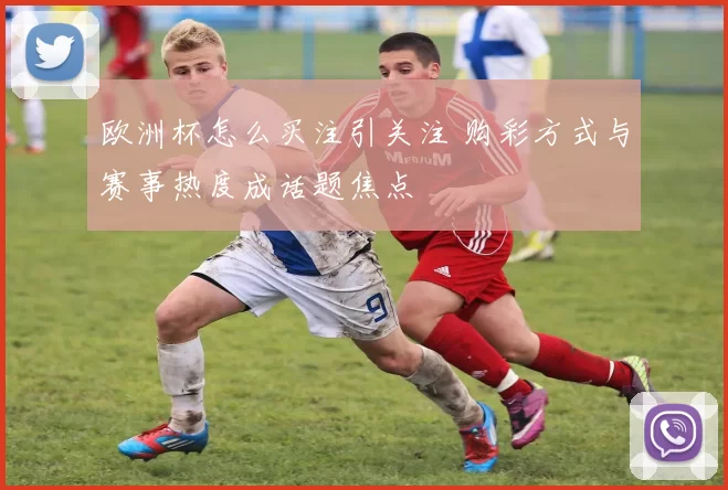 欧洲杯怎么买注引关注 购彩方式与赛事热度成话题焦点